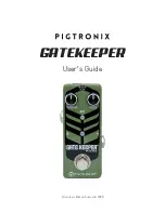 pigtronix Gatekeeper Micro User Manual preview