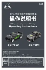 Pinecone Model SG-1603 Operating Instructions Manual preview