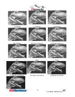 Preview for 94 page of Pinnacle LaserPro ZX Series User Manual