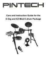 Pintech E-Gig Care And Instruction Manual preview