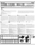 Pioneer Champion Series TS-W1008D4 User Manual preview