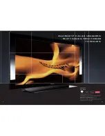 Предварительный просмотр 8 страницы Pioneer KURO PDP-428XD Brochure & Specs