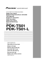 Preview for 1 page of Pioneer PDK-TS01 Operating Instructions Manual