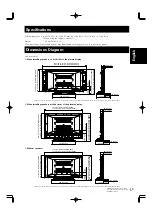 Предварительный просмотр 19 страницы Pioneer PDK-TS04 Operating Instructions Manual