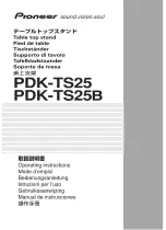 Pioneer PDK-TS25 Operating Instructions Manual предпросмотр