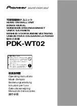 Preview for 1 page of Pioneer PDK-WT02 Operating Instructions Manual