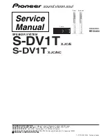 Preview for 1 page of Pioneer S-DV1T Service Manual