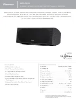 Pioneer SP-C22 Spesification preview