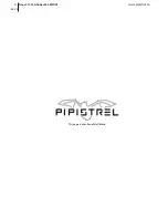 Preview for 2 page of Pipistrel Sinus 912 LSA LSA-GLIDER Pilot Operating Handbook