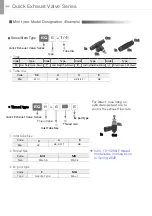 Предварительный просмотр 3 страницы PISCO EQ01-C04P01C08 Manual