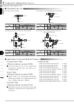 Предварительный просмотр 6 страницы PISCO VG Series Manual