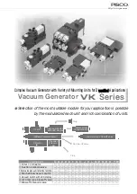 PISCO VK Series Manual предпросмотр