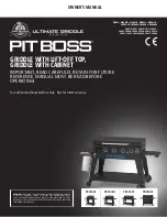 Pit Boss 10807 Owner'S Manual preview