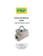 PKP DG08 Instruction Manual preview