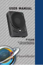 Planet Audio P10AW User Manual предпросмотр