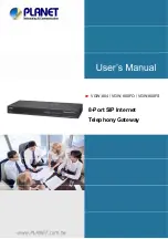 Planet Networking & Communication VGW-800FO User Manual preview