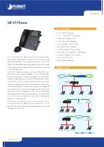 Planet Networking & Communication VIP-254T Specifications preview