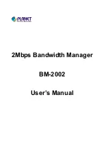 Planet BM-2002 User Manual preview