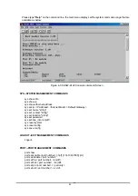 Предварительный просмотр 46 страницы Planet SGSW-2402 User Manual