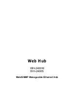 Planet WH-2400M User Manual предпросмотр