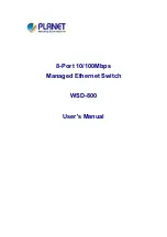 Planet WSD-800 User Manual предпросмотр