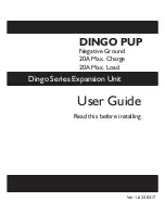 Предварительный просмотр 1 страницы Plasmatronics Dingo Pup User Manual