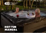 Platinum Spas Balboa SpaTouch2T Manual preview