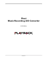 Playback Designs Pinot User Manual preview