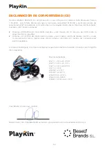 Preview for 11 page of PLAYKIN BMW HP4 Instruction Manual