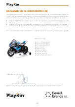 Preview for 21 page of PLAYKIN BMW HP4 Instruction Manual