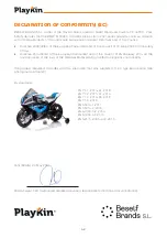 Preview for 41 page of PLAYKIN BMW HP4 Instruction Manual