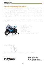 Preview for 51 page of PLAYKIN BMW HP4 Instruction Manual