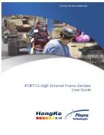 Предварительный просмотр 1 страницы Pleora Technologies iPORT CL-GigE User Manual