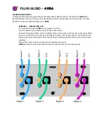 Preview for 3 page of Plum Audio ARBA Quick Start Manual