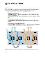 Preview for 4 page of Plum Audio ARBA Quick Start Manual