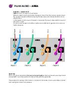 Preview for 6 page of Plum Audio ARBA Quick Start Manual