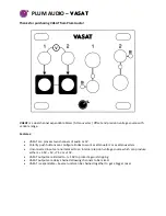 Preview for 1 page of Plum Audio VASAT Quick Start Manual