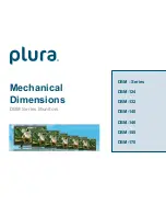 Plura DBM-124 Manual предпросмотр