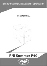 PNI Summer P40 User Manual предпросмотр