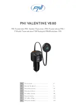 PNI VALENTINE V880 User Manual предпросмотр