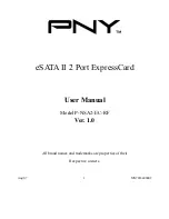 Предварительный просмотр 1 страницы PNY P-NSA2-EC-RF User Manual