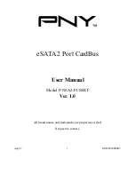 PNY P-NSA2-PCM-RF User Manual предпросмотр