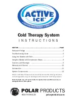 Предварительный просмотр 1 страницы Polar Electro Active Ice Instructions Manual