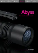 Polarion Abyss D U2 Manual preview