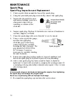 Предварительный просмотр 55 страницы Polaris Power P3000iE Operator'S Manual