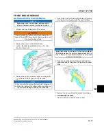 Предварительный просмотр 495 страницы Polaris RZR PRO XP 2020 Service Manual