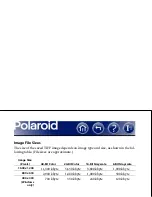 Preview for 32 page of Polaroid DCM 2 Online Online User'S Manual