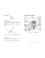 Предварительный просмотр 8 страницы Polycom SoundPoint Pro SE-225 Installation Instructions And User Manual