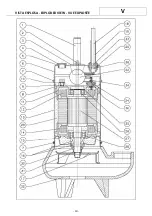 Preview for 10 page of POMPE ROTOMEC V Use And Maintenance Manual