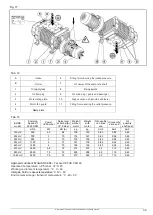 Предварительный просмотр 33 страницы Pompetravaini BORA FP 1043 Operating Manual